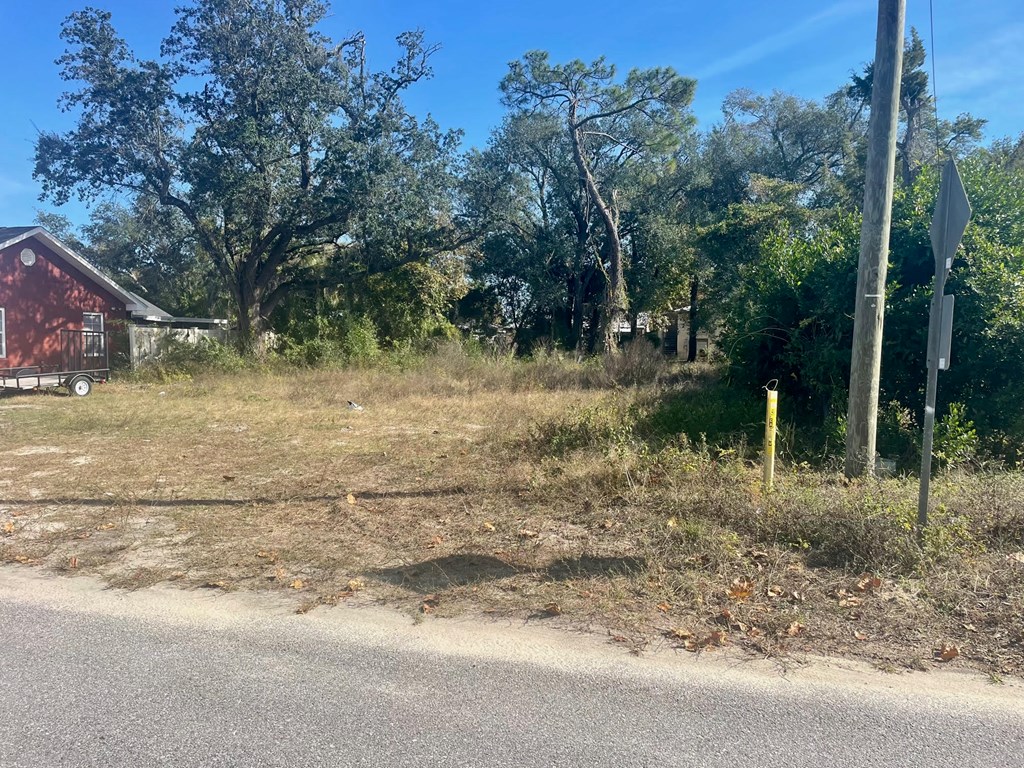 1906 Louise Ave, 32405