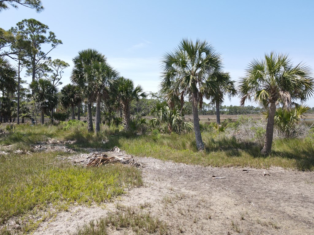 190 Eventide Dr, Port St. Joe 32456