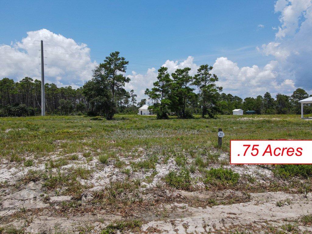 1693 St George's Ct, 32328