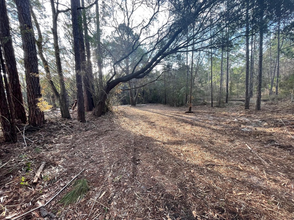 2000 Bluff Rd, 32320
