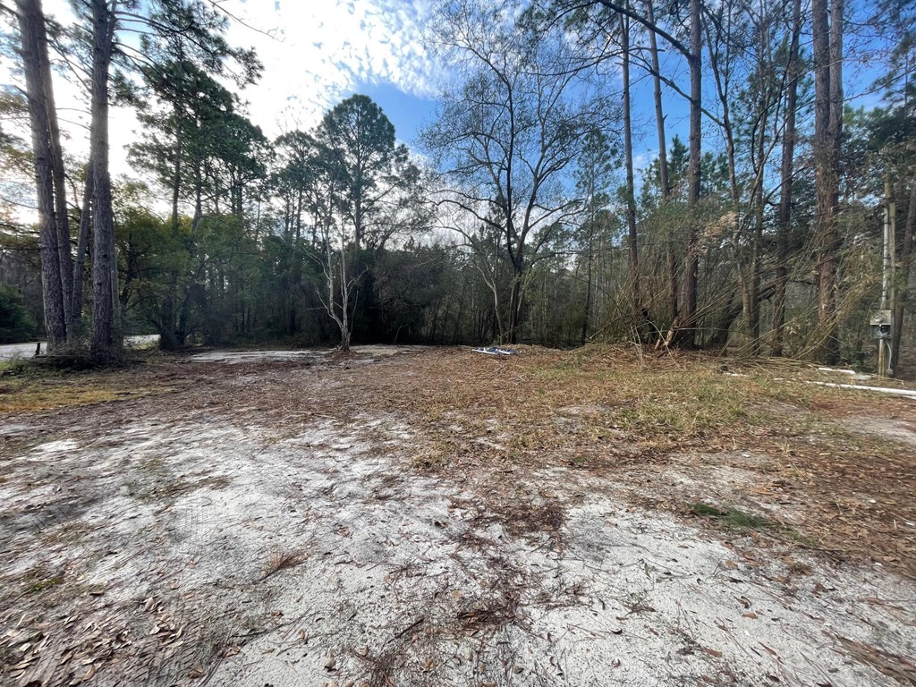2000 Bluff Rd, 32320