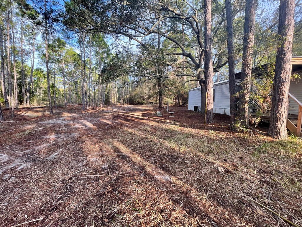 2000 Bluff Rd, 32320