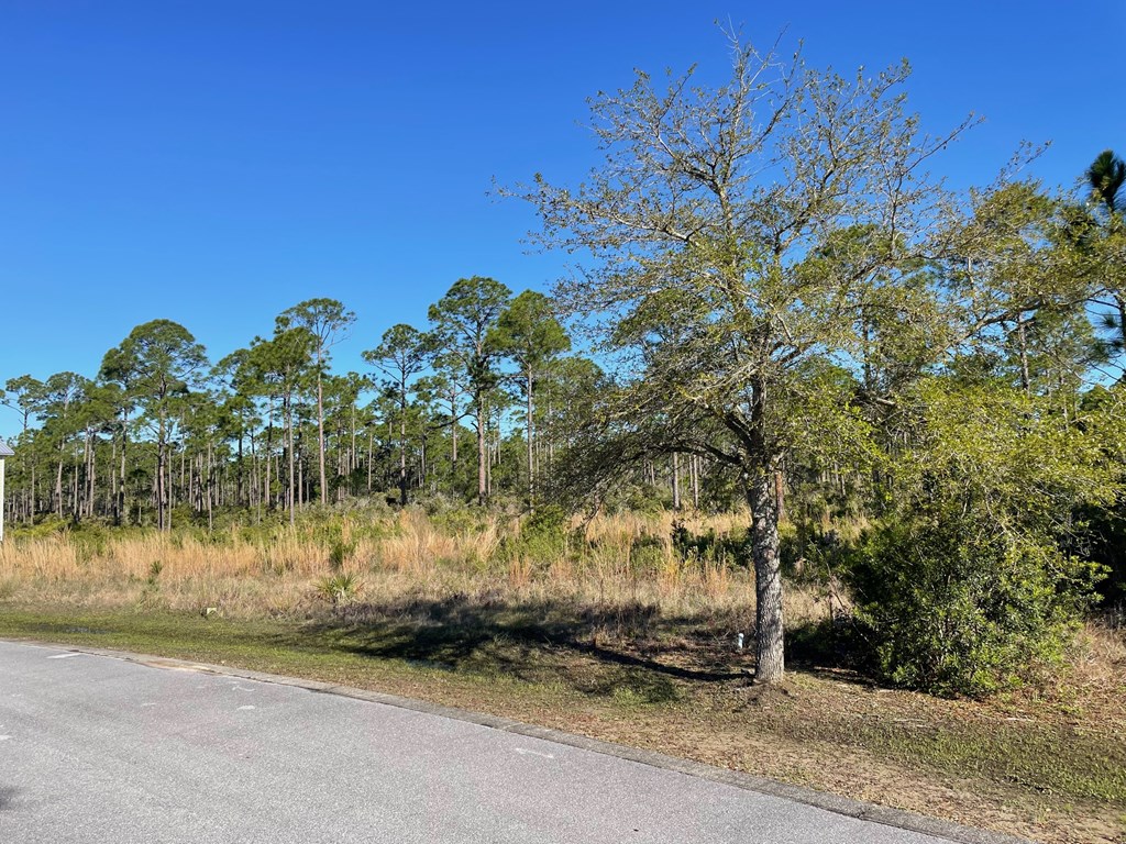 Lot 18 Shallow Reed Dr, Port St. Joe 32456