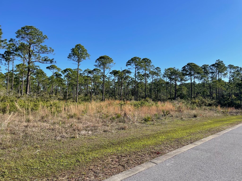 Lot 18 Shallow Reed Dr, Port St. Joe 32456