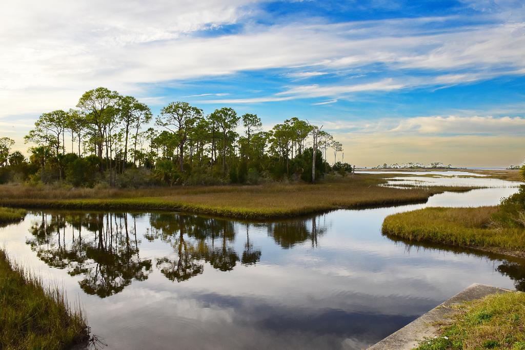 Lot 18 Shallow Reed Dr, Port St. Joe 32456
