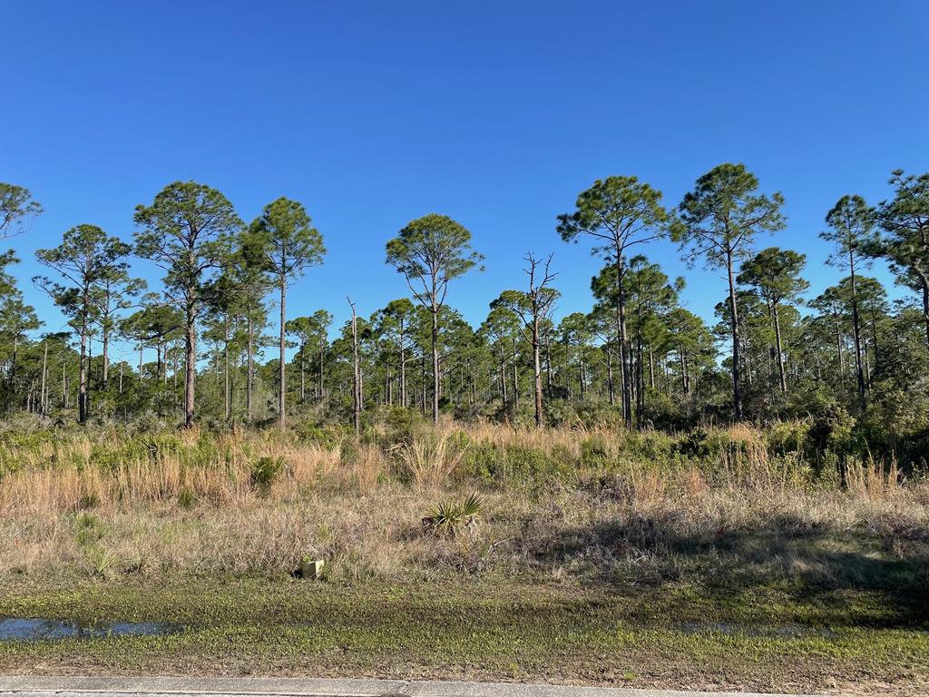 Lot 18 Shallow Reed Dr, Port St. Joe 32456