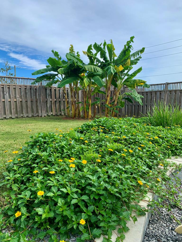 7 Magnolia Dr, 32456