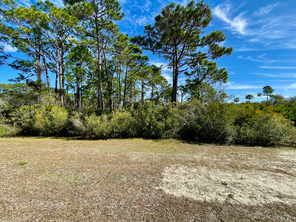 102 Mariner Ln, 32456