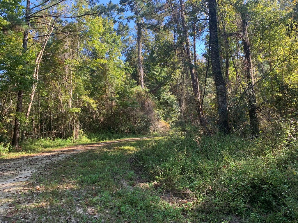 LOT 8 Riverside Cir, 32465