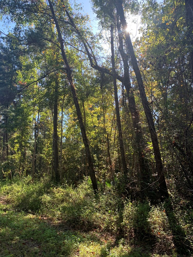 LOT 8 Riverside Cir, 32465