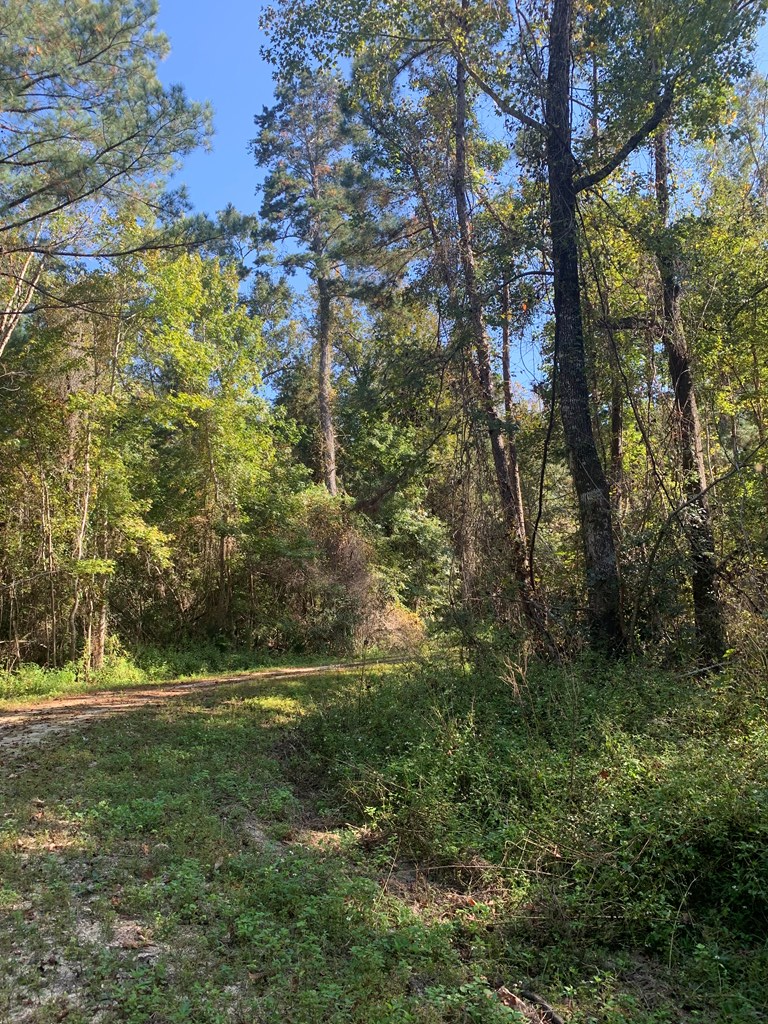 LOT 8 Riverside Cir, 32465