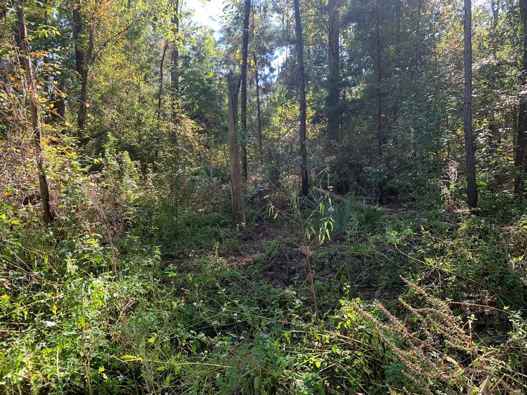 LOT 8 Riverside Cir, 32465