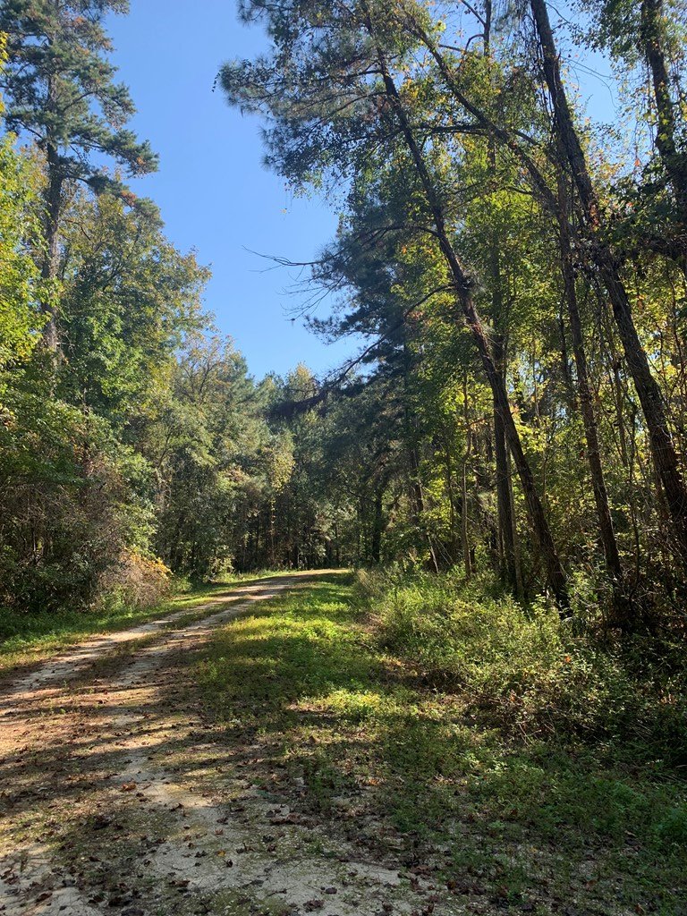LOT 8 Riverside Cir, 32465