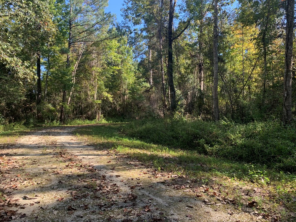 LOT 8 Riverside Cir, 32465