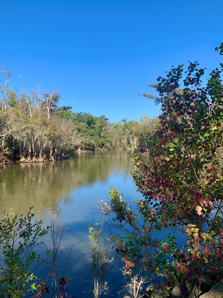 LOT 9 Riverside Cir, 32465