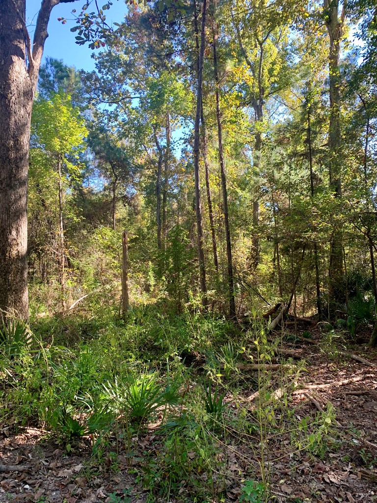 LOT 9 Riverside Cir, 32465