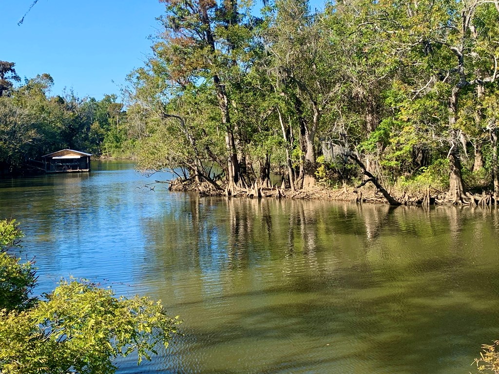 LOT 9 Riverside Cir, 32465