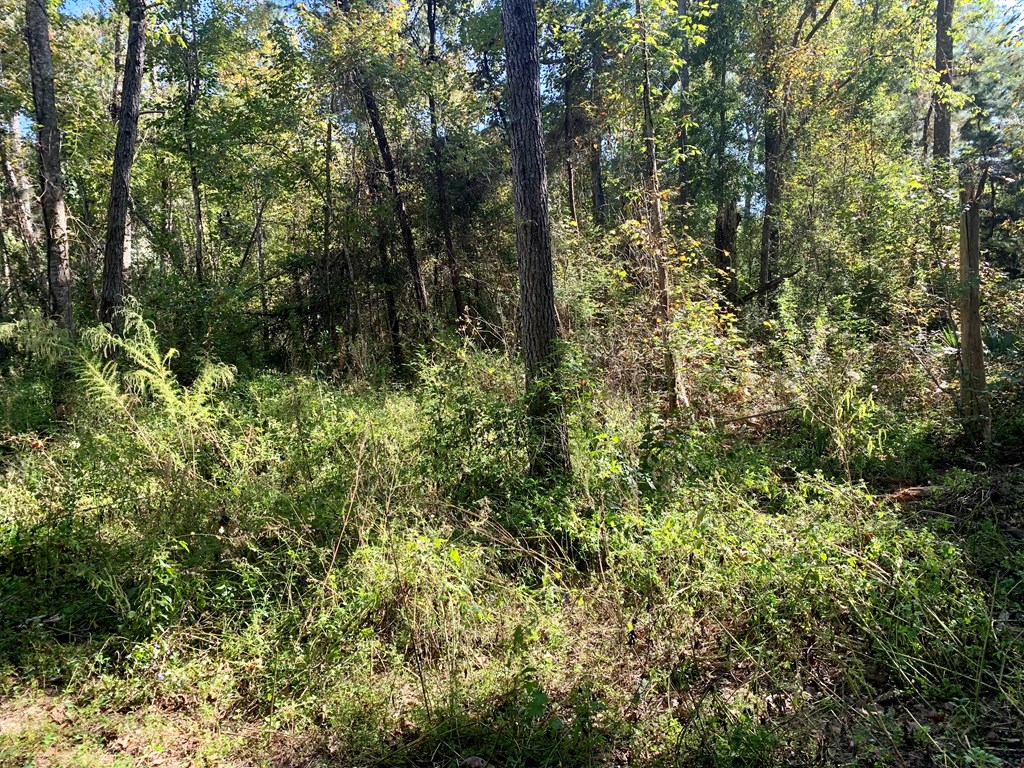 LOT 9 Riverside Cir, 32465