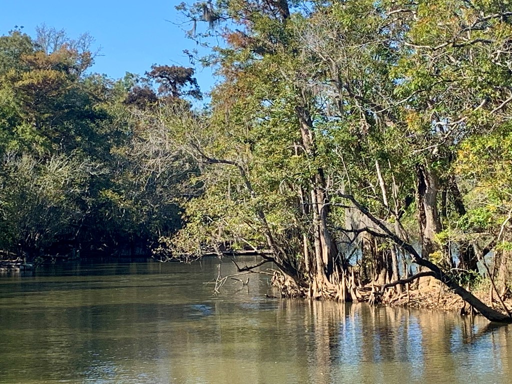 LOT 9 Riverside Cir, 32465