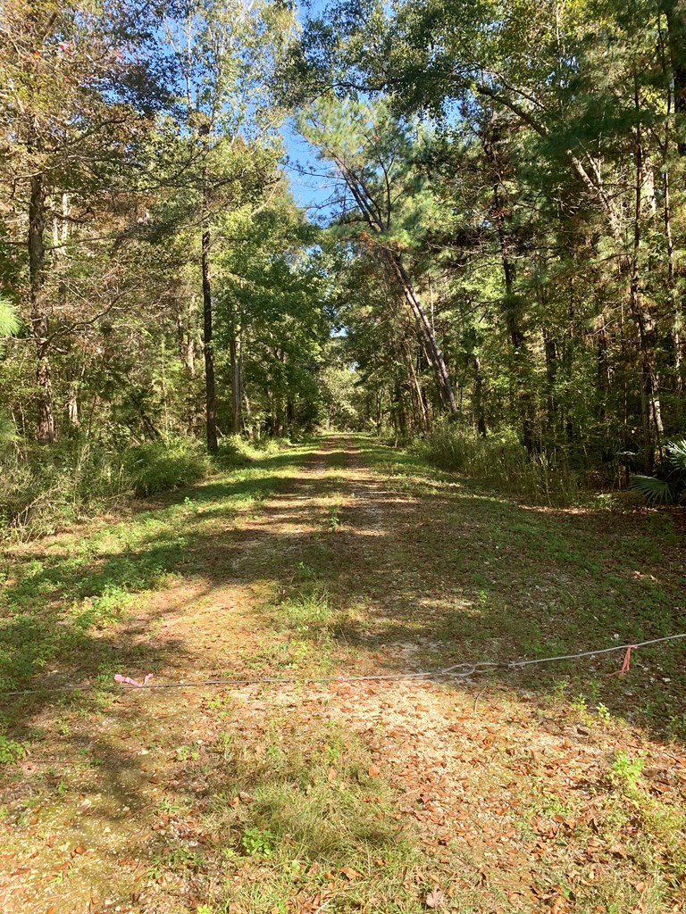 LOT 9 Riverside Cir, 32465
