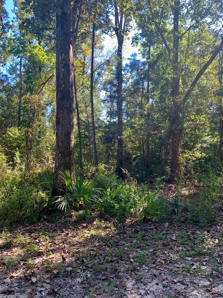 LOT 9 Riverside Cir, 32465