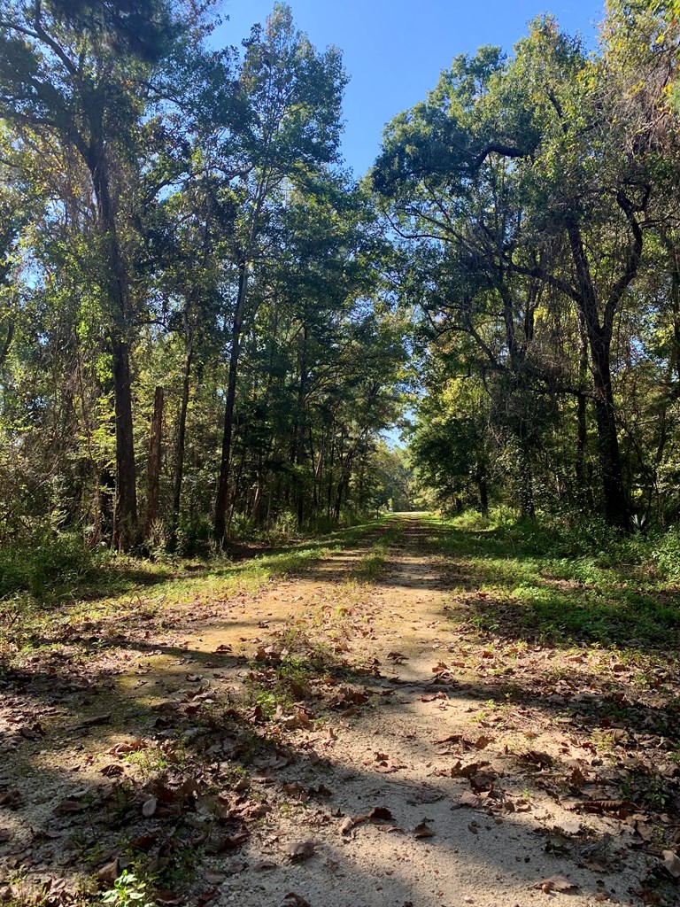 LOT 9 Riverside Cir, 32465