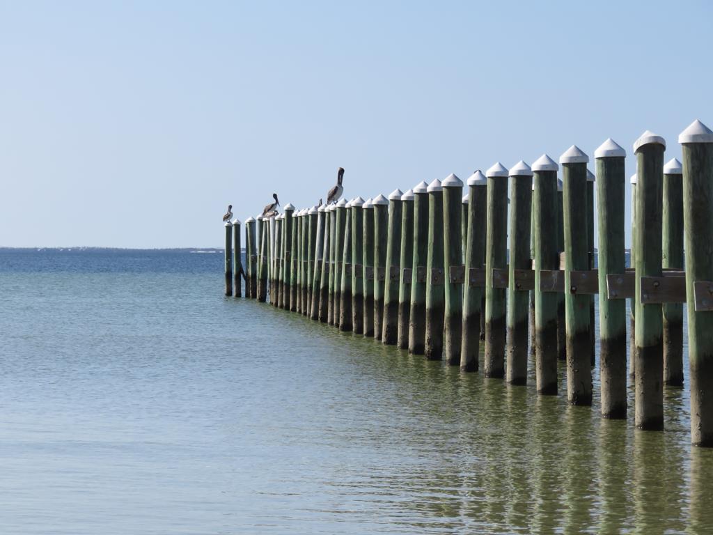 143 Cord Grass Way, Port St. Joe 32456