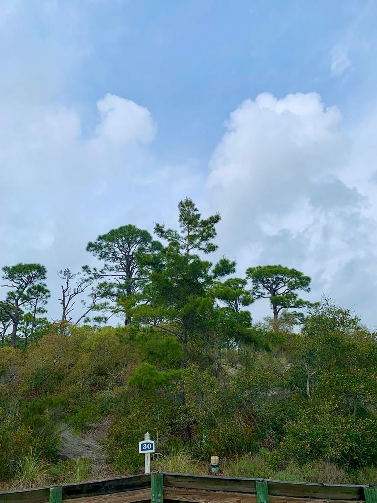 143 Cord Grass Way, Port St. Joe 32456