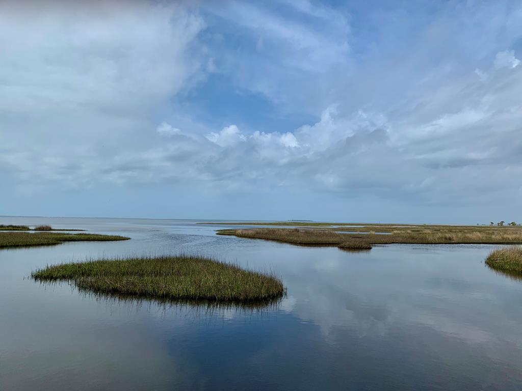 143 Cord Grass Way, Port St. Joe 32456