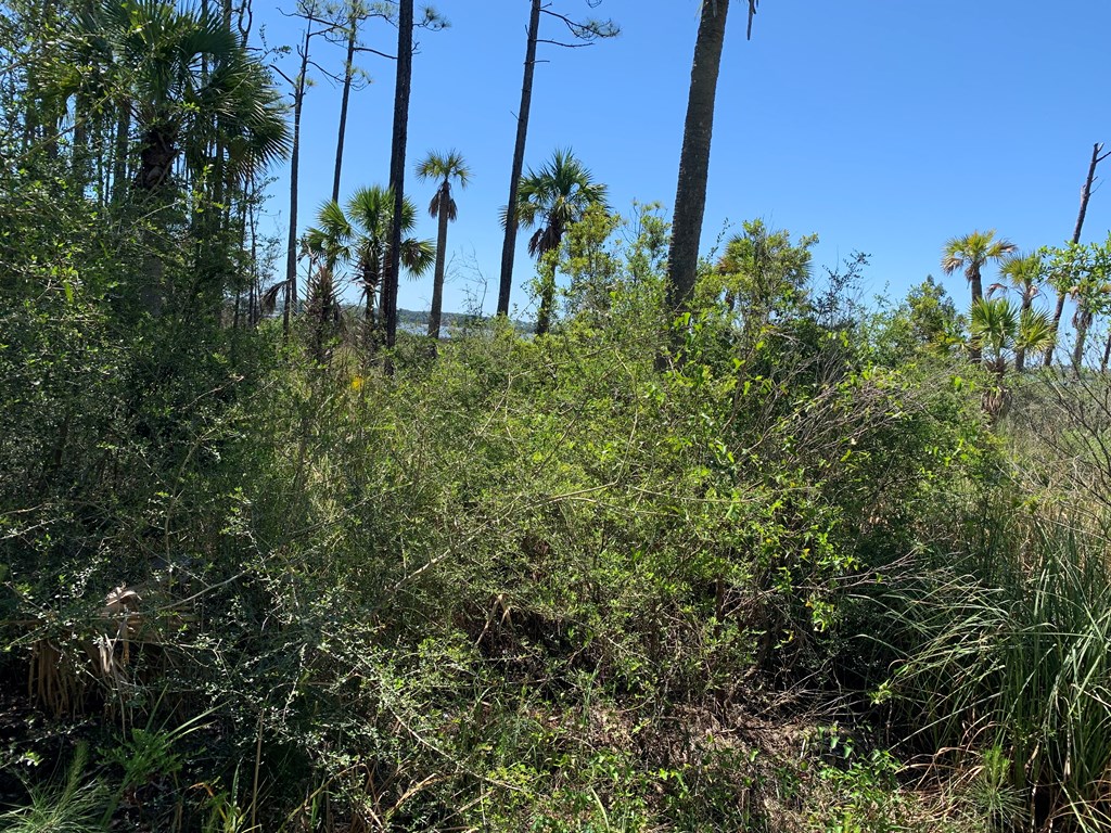 LOT 9 Cr 30-a, Port St. Joe 32456