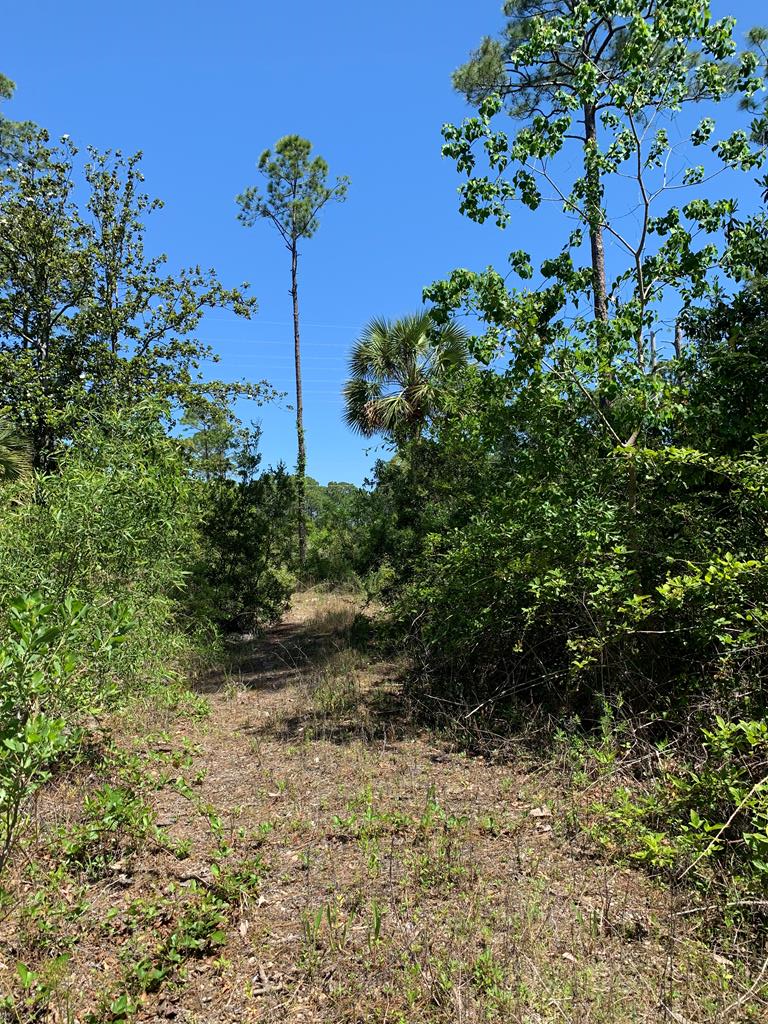 LOT 9 Cr 30-a, Port St. Joe 32456