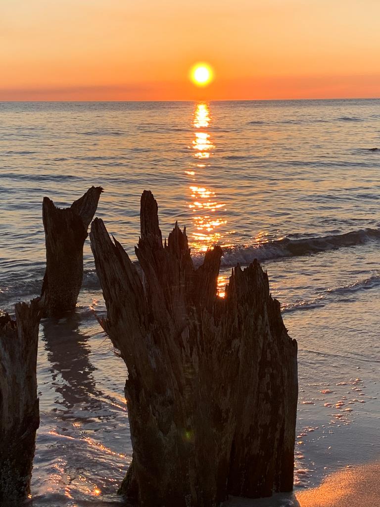 LOT 9 Cr 30-a, Port St. Joe 32456