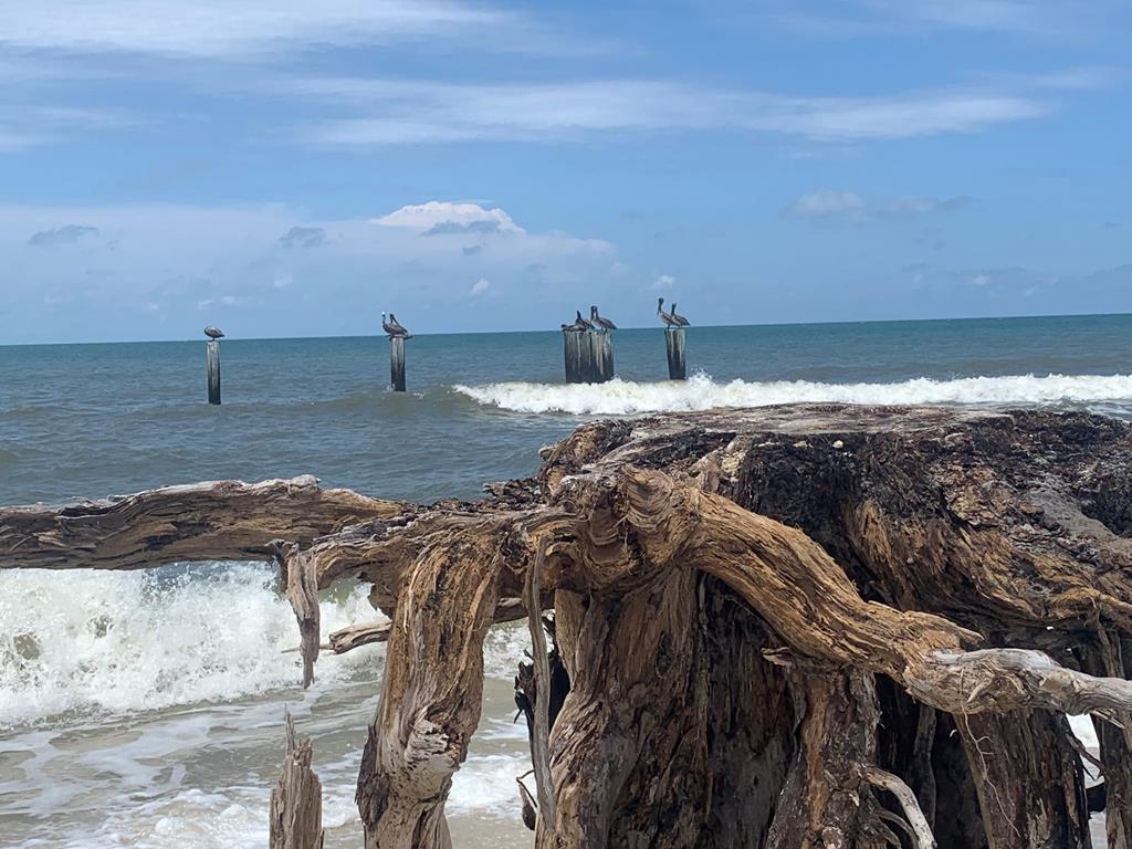 LOT 9 Cr 30-a, Port St. Joe 32456