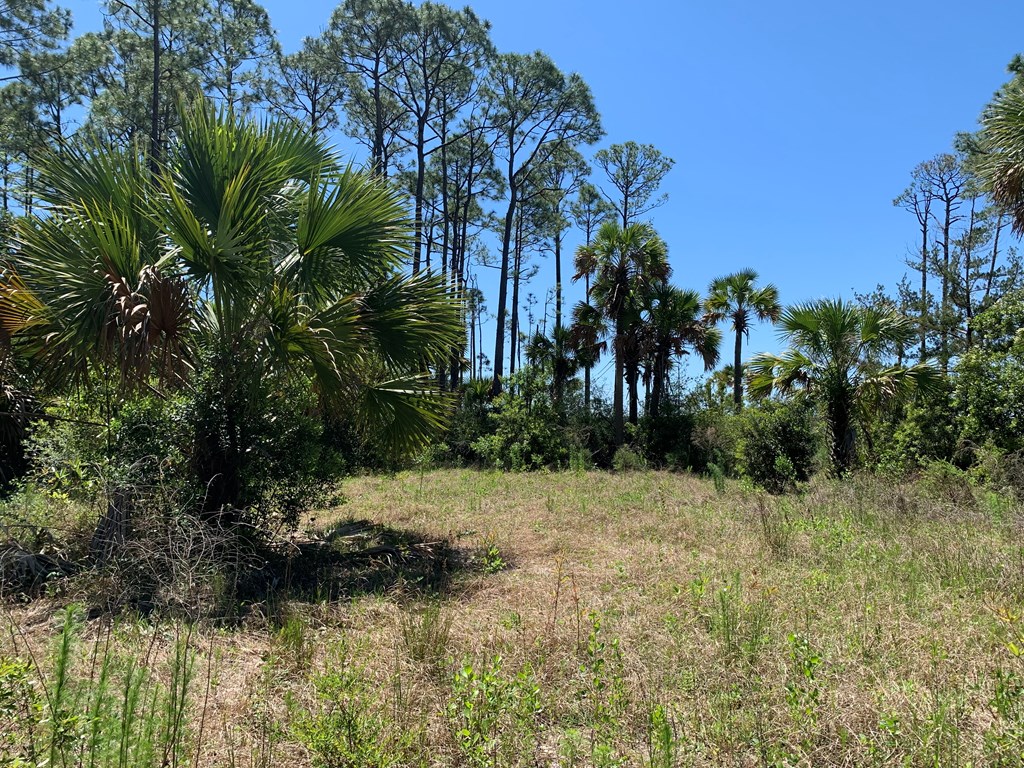 LOT 9 Cr 30-a, Port St. Joe 32456