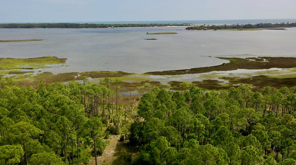LOT 9 Cr 30-a, Port St. Joe 32456