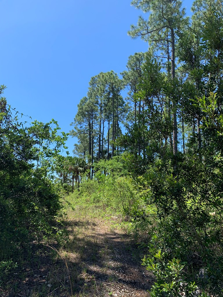 LOT 9 Cr 30-a, Port St. Joe 32456