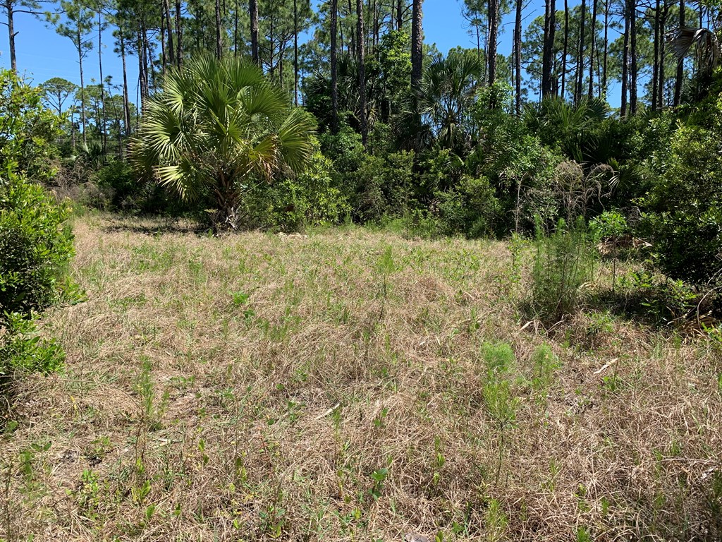 LOT 9 Cr 30-a, Port St. Joe 32456