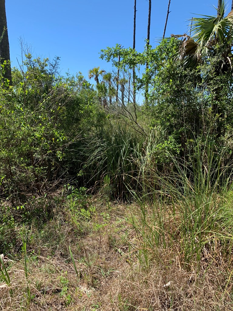 LOT 9 Cr 30-a, Port St. Joe 32456