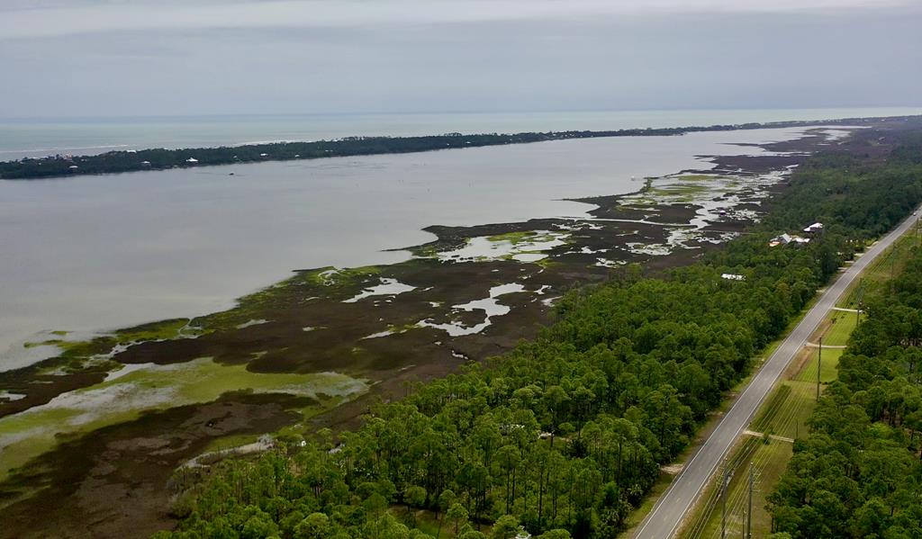 LOT 9 Cr 30-a, Port St. Joe 32456