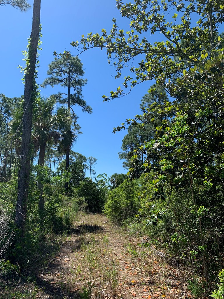 LOT 9 Cr 30-a, Port St. Joe 32456