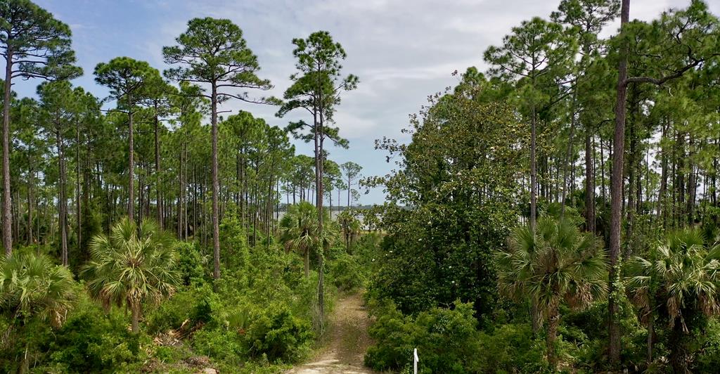 LOT 9 Cr 30-a, Port St. Joe 32456