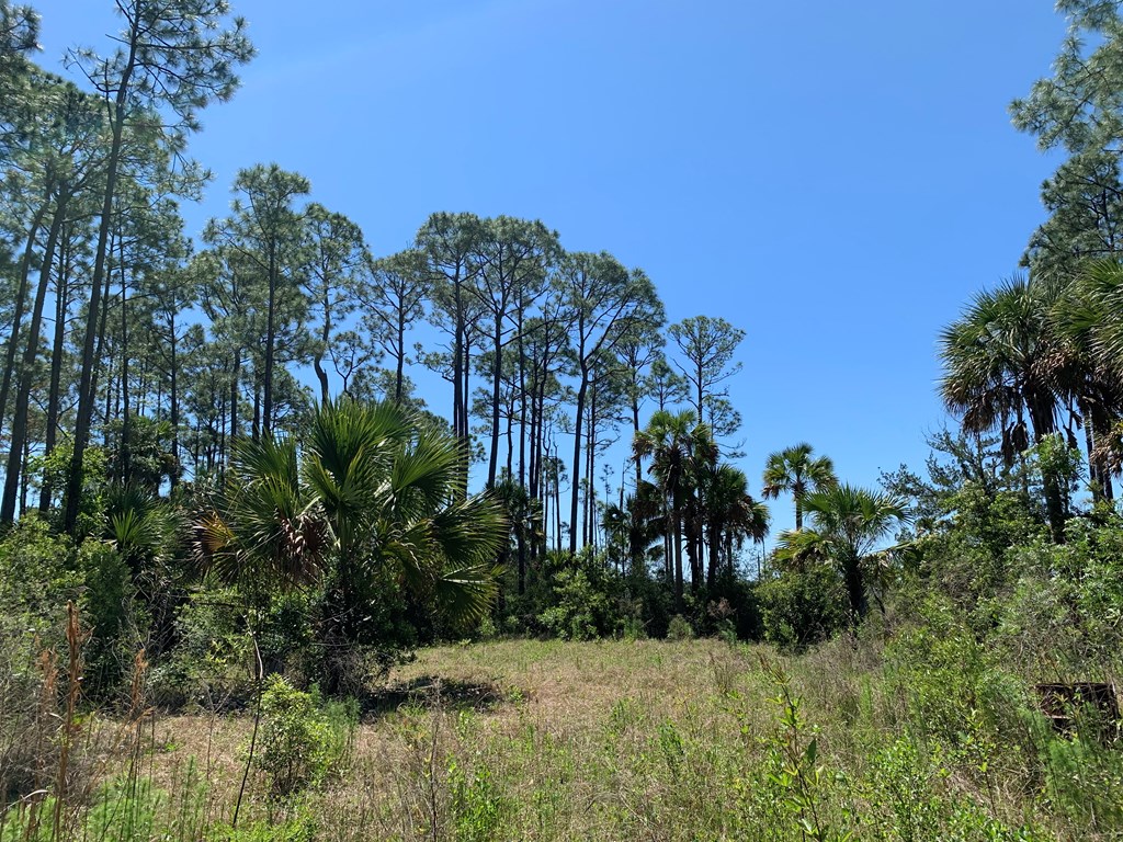 LOT 9 Cr 30-a, Port St. Joe 32456