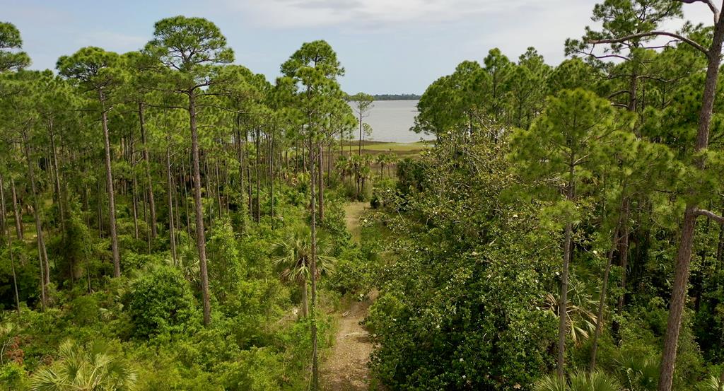 LOT 9 Cr 30-a, Port St. Joe 32456