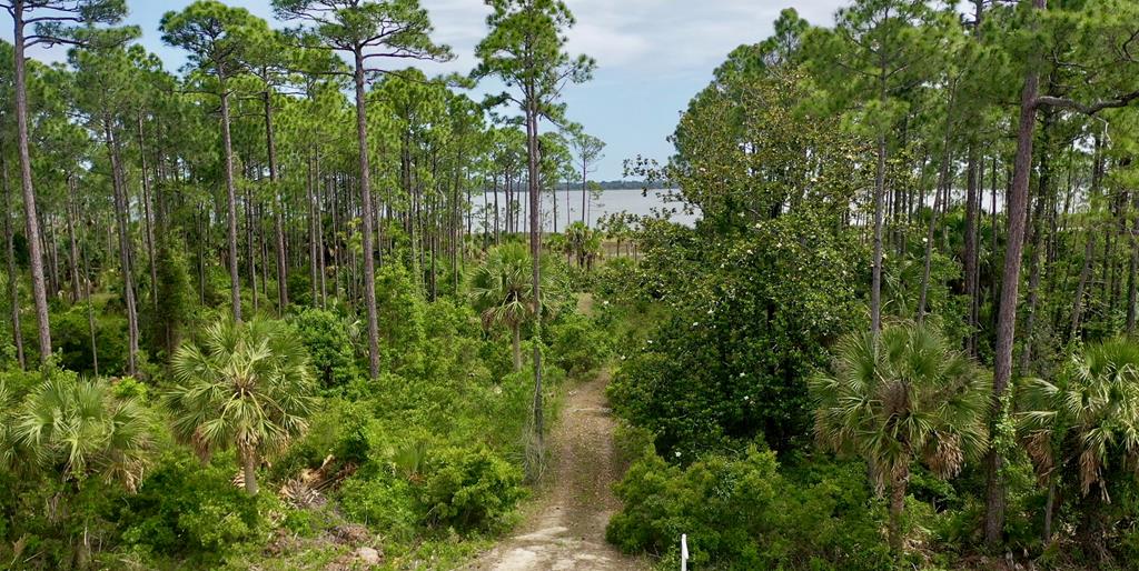 LOT 9 Cr 30-a, Port St. Joe 32456