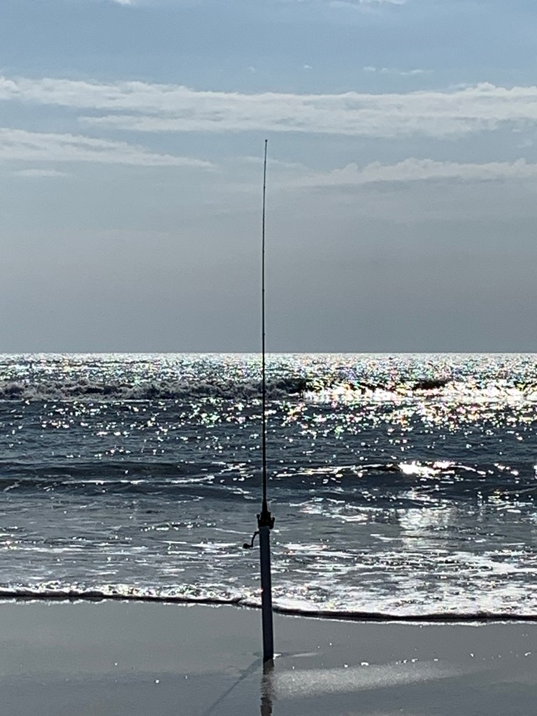 LOT 9 Cr 30-a, Port St. Joe 32456