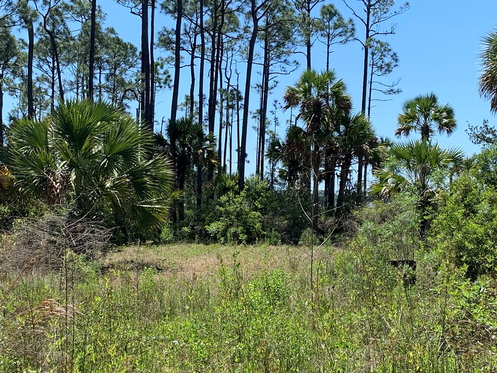 LOT 9 Cr 30-a, Port St. Joe 32456