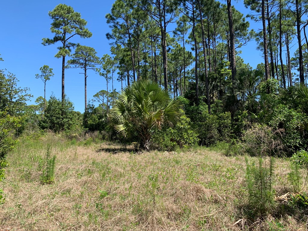 LOT 9 Cr 30-a, Port St. Joe 32456