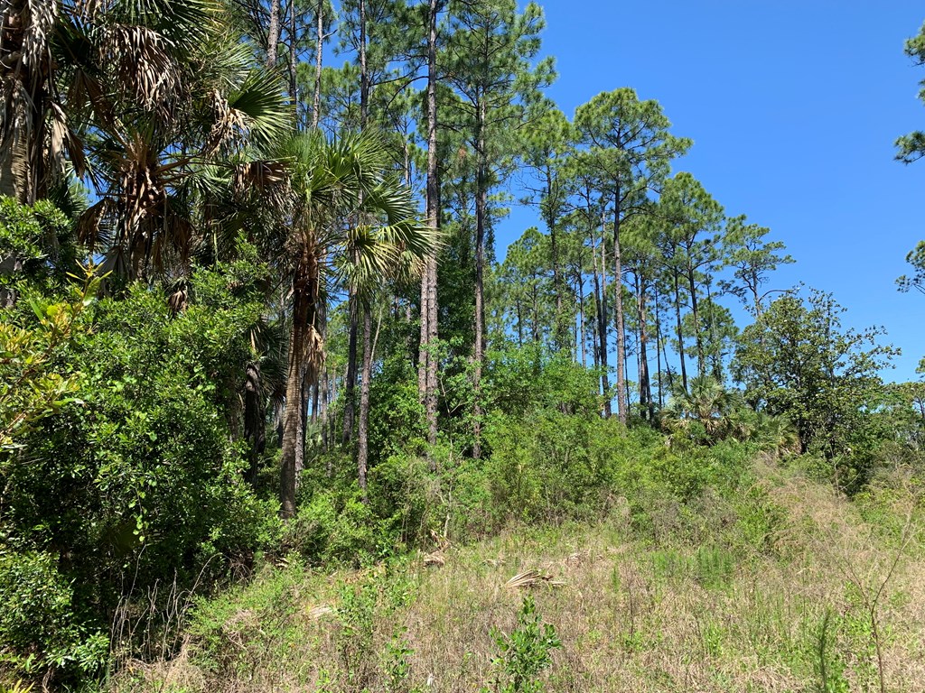 LOT 9 Cr 30-a, Port St. Joe 32456