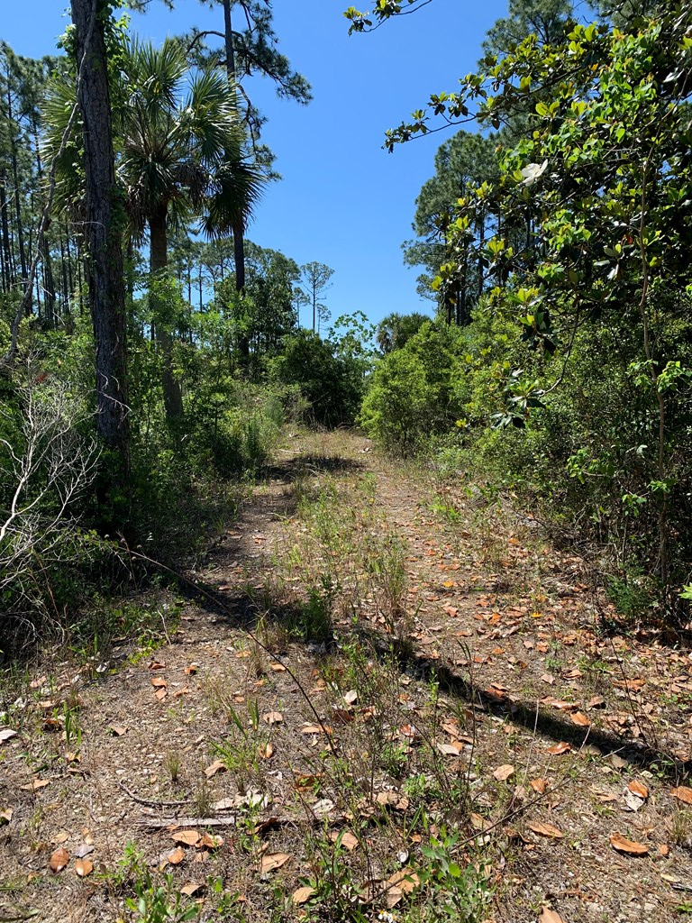 LOT 9 Cr 30-a, Port St. Joe 32456