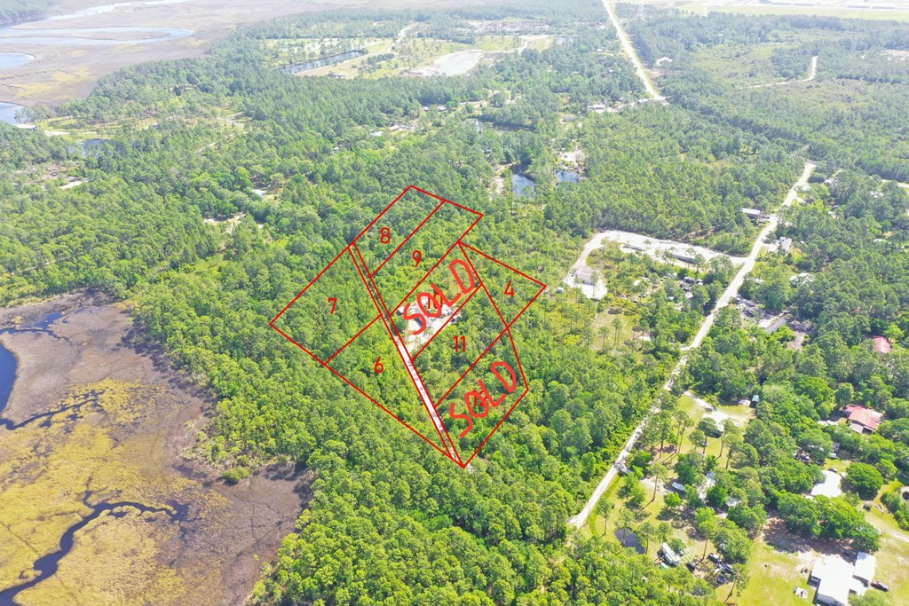 Lot 6 Cora Mae Rd, 32322